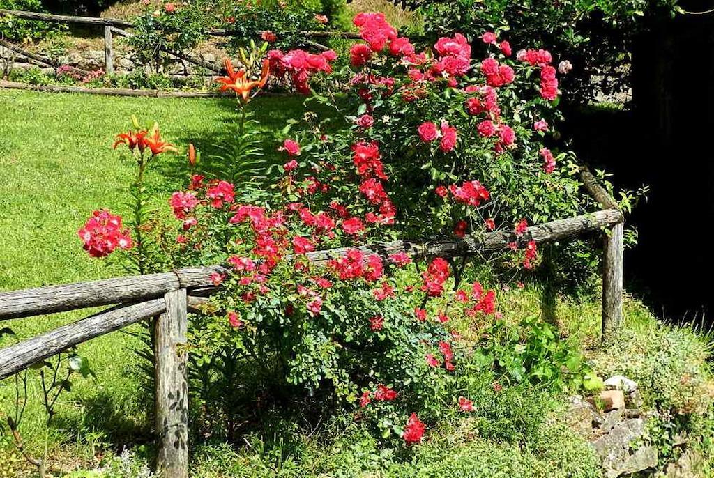 B&B Il Casale Delle Pianacce Castiglione di Garfagnana Exteriér fotografie