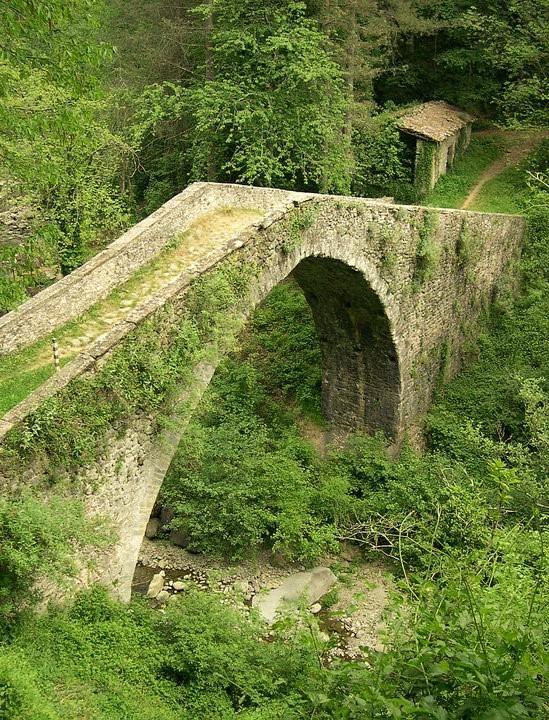 B&B Il Casale Delle Pianacce Castiglione di Garfagnana Exteriér fotografie