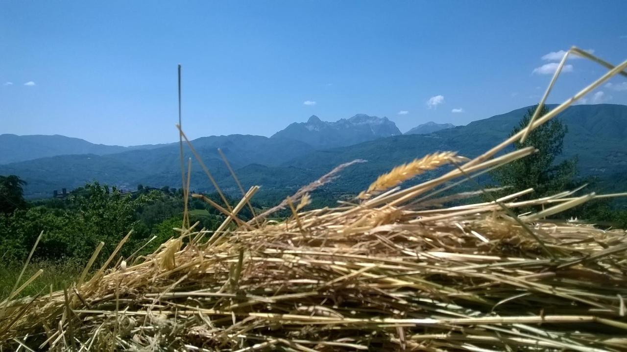 B&B Il Casale Delle Pianacce Castiglione di Garfagnana Exteriér fotografie